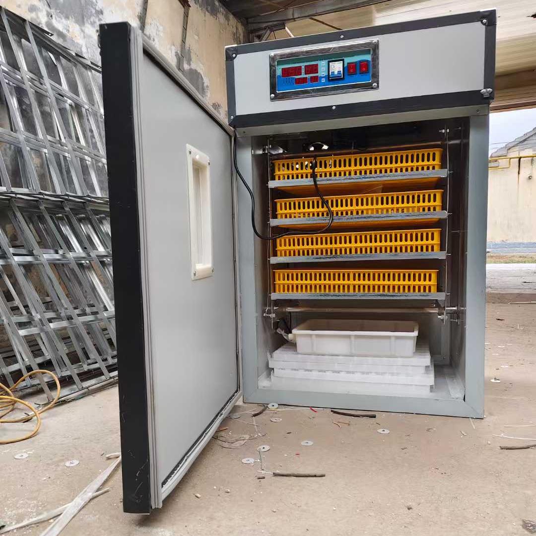 Farming Africa - Solarna inkubacja jaj 1056 w Afryce,