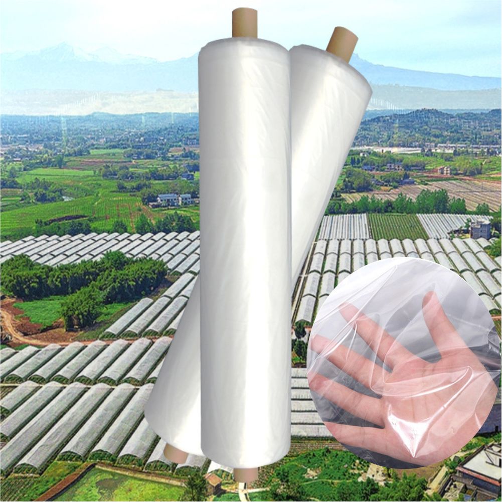 Rolnicza farma rolnicza szklar – Agriculture Farming Vegetables recenzja i cena