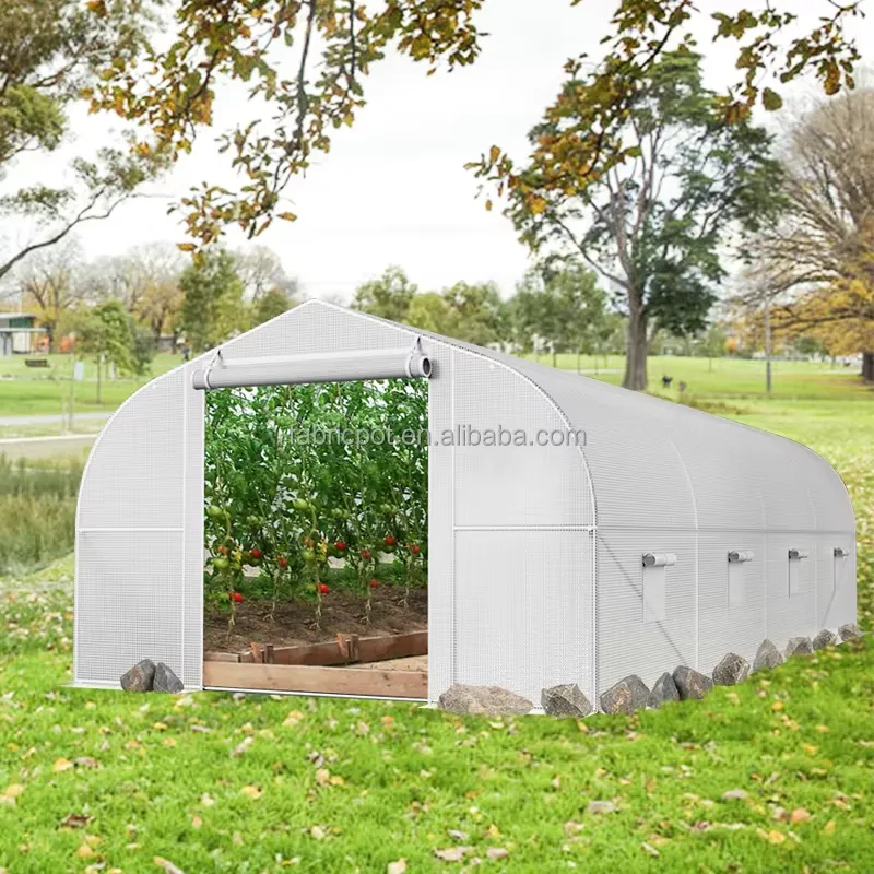Folia plastikowa do szklarni r – Agriculture Tomato Farming recenzja i cena