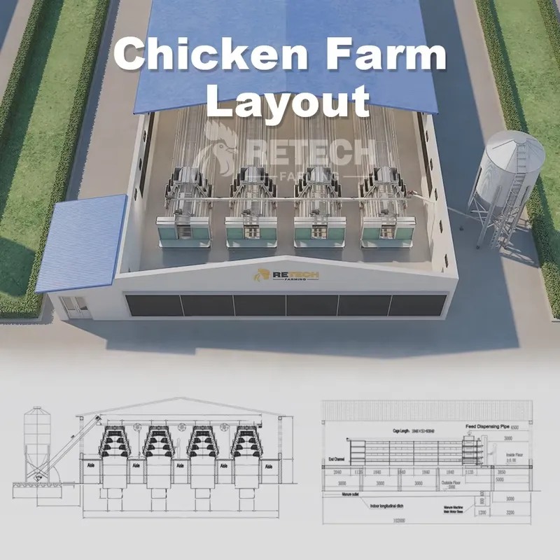 Automatyczna klatka dla kur wa – Farming Africa recenzja i cena