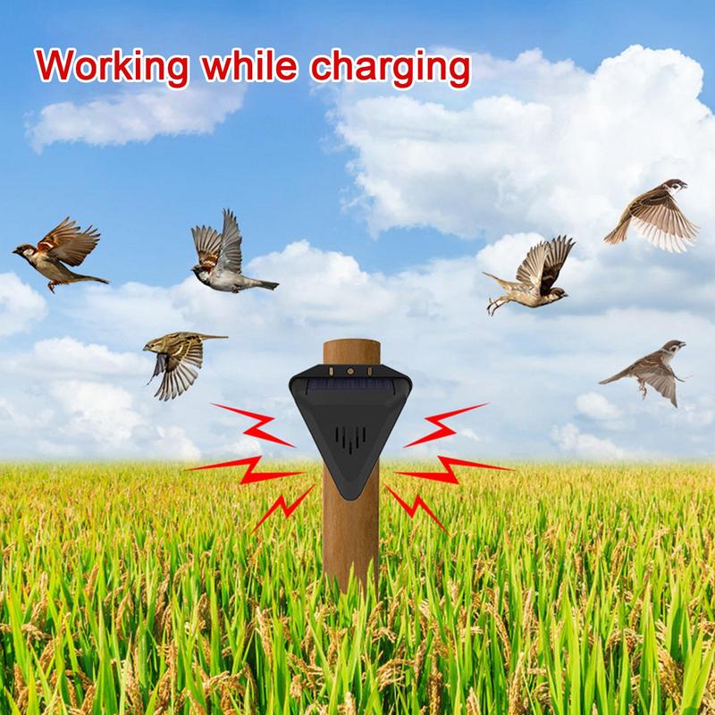 Solarny odstraszacz ptaków z 1 – Solar Bird Scarer recenzja i cena