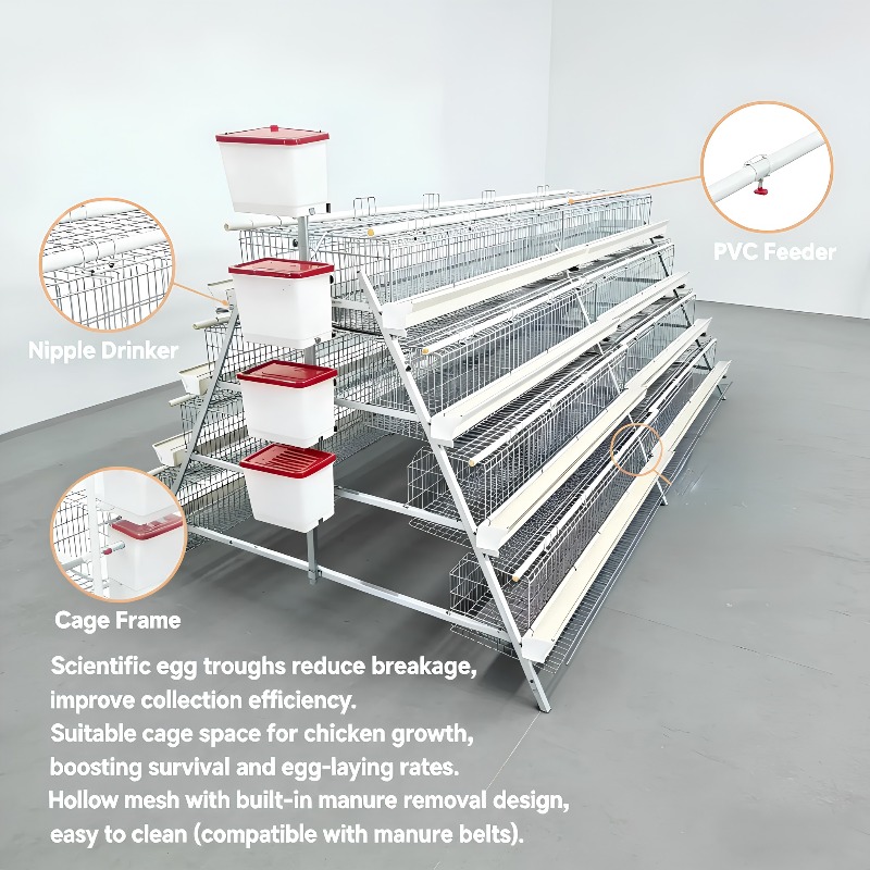   Kurnik New Africa typu Bater – Farming Africa recenzja i cena