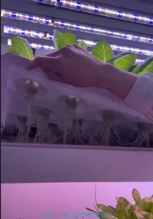 System hydroponiczny wieżowy d – Agriculture Farming Vegetables recenzja i cena