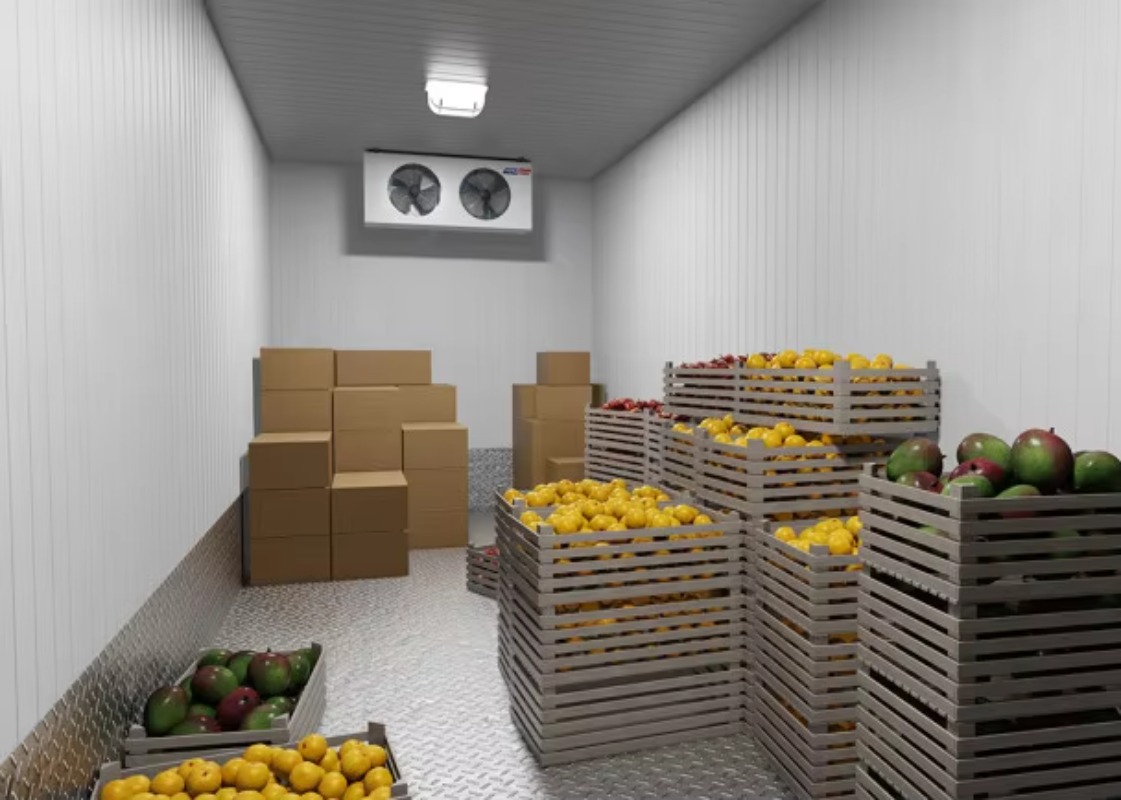 Solarna chłodnia do przechowyw – Farming Africa recenzja i cena