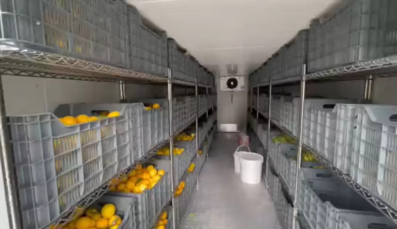 Solarna chłodnia do przechowyw – Farming Africa recenzja i cena