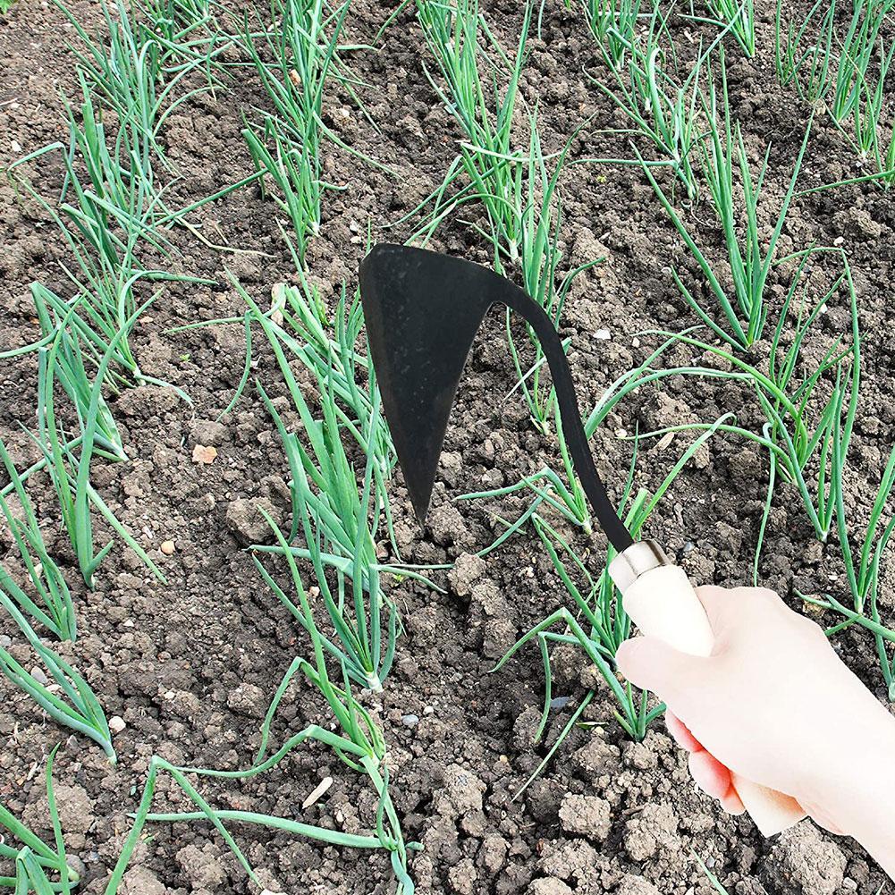 Narzędzia rolnicze Domy Trójką – Agriculture Farming Vegetables recenzja i cena