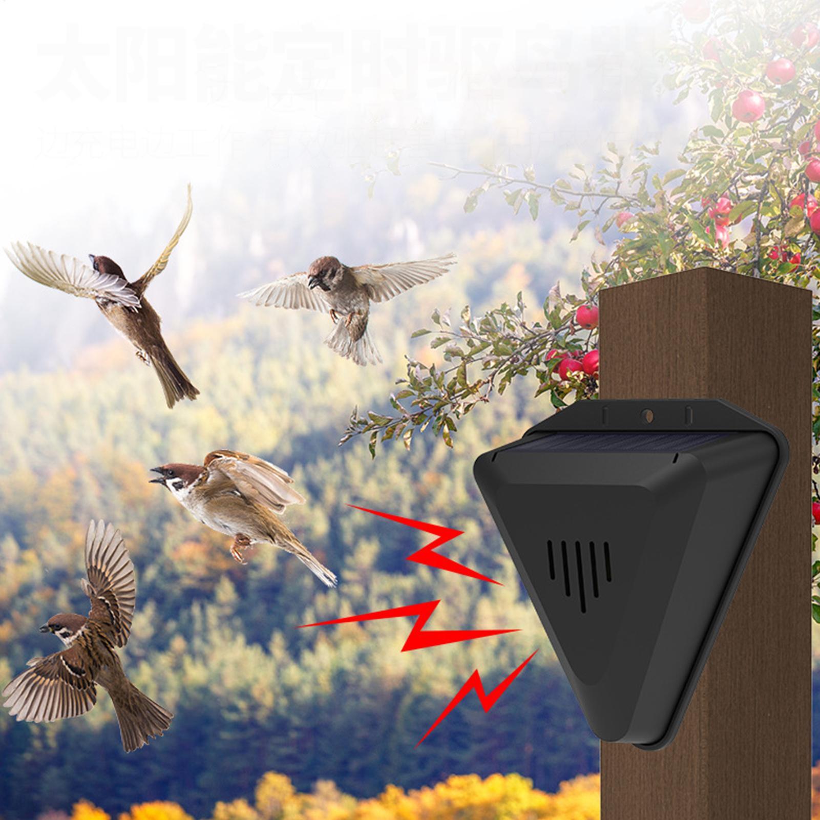 Wodoodporny solarny odstraszac – Solar Bird Scarer recenzja i cena