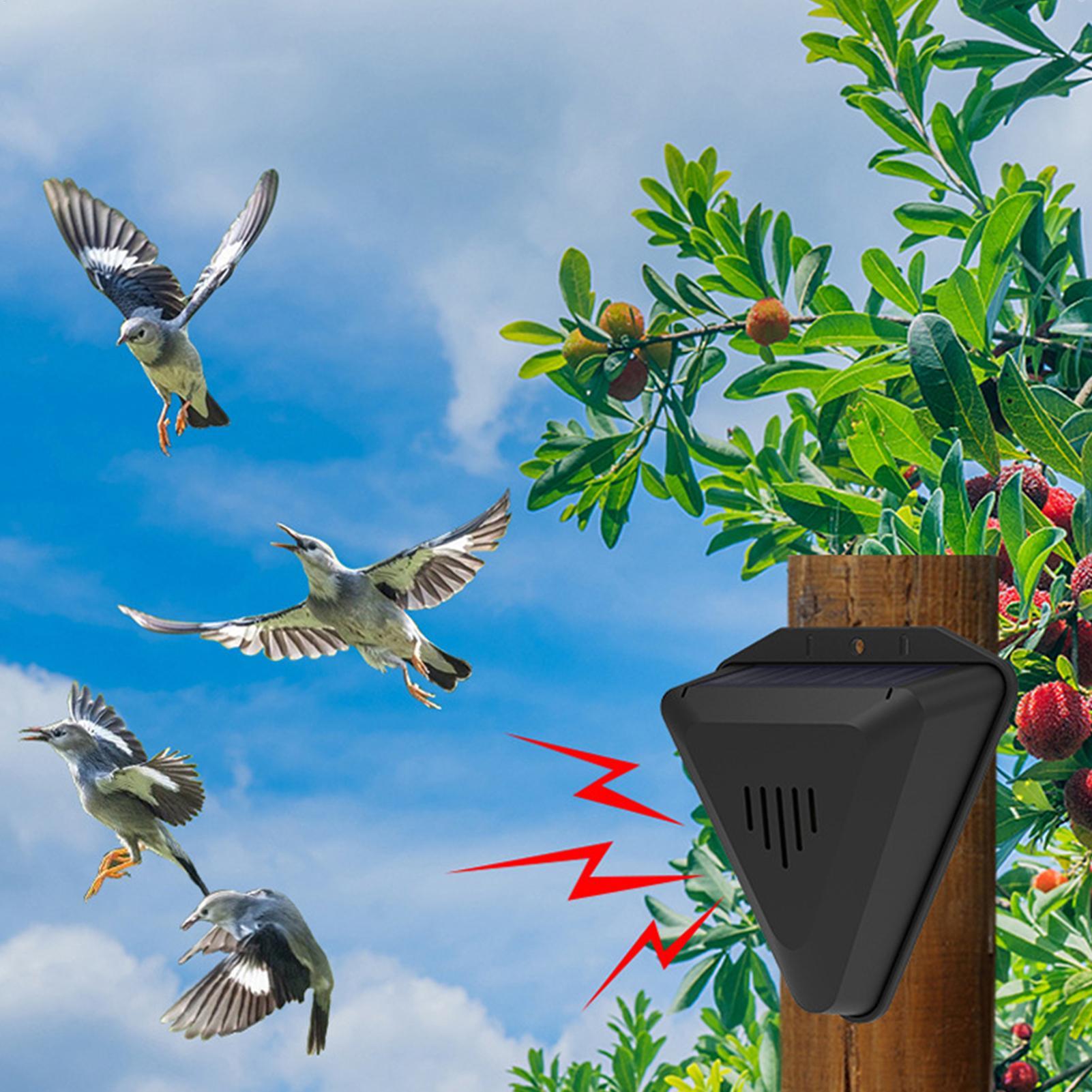 Wodoodporny solarny odstraszac – Solar Bird Scarer recenzja i cena