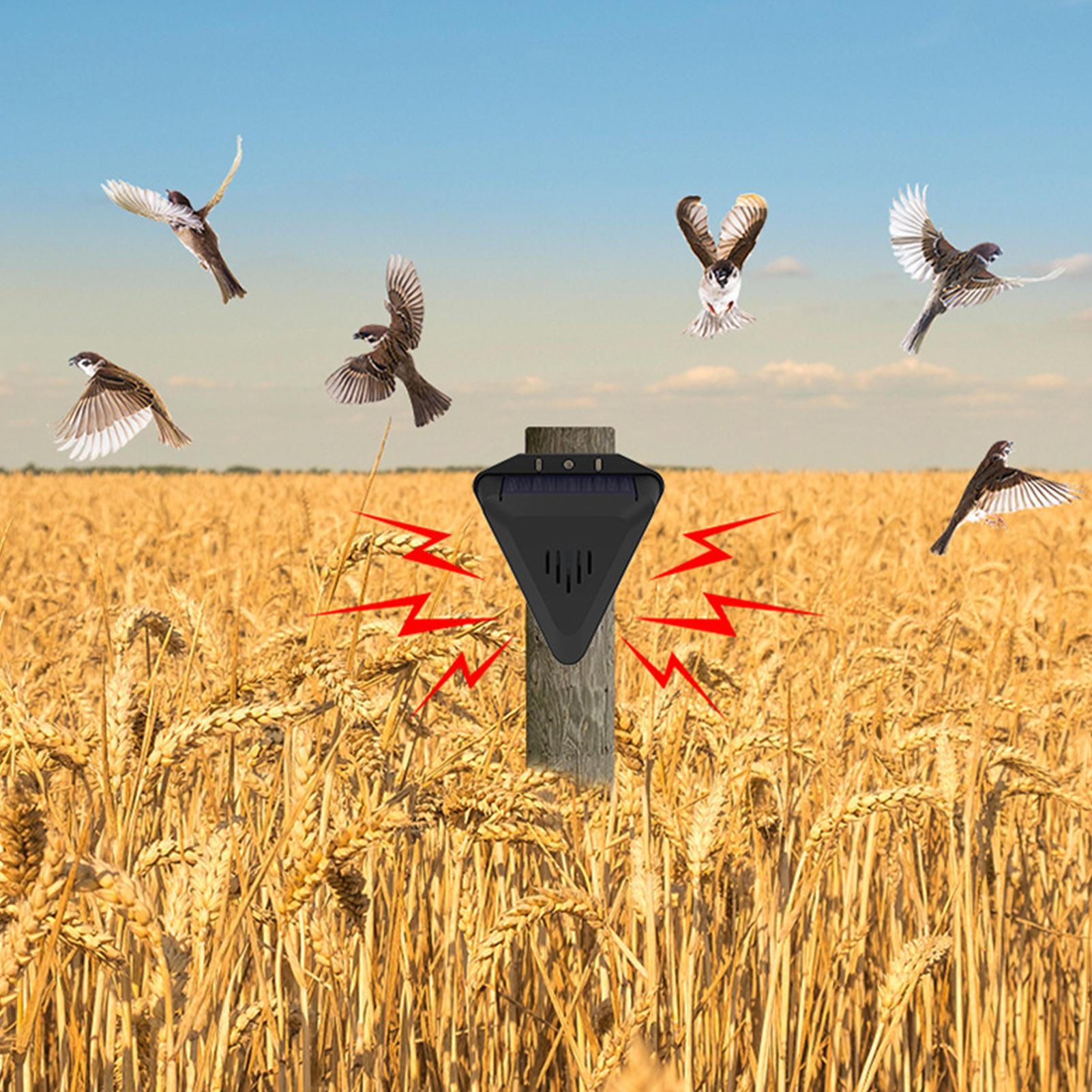 Wodoodporny solarny odstraszac – Solar Bird Scarer recenzja i cena