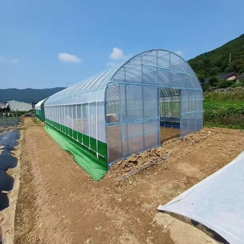 Skrzydłowe szklarnie rolnicze  – Agriculture Tomato Farming recenzja i cena