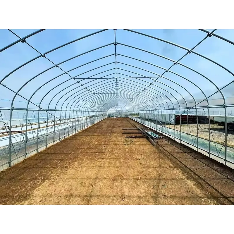 Skrzydłowe szklarnie rolnicze  – Agriculture Tomato Farming recenzja i cena